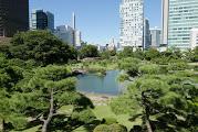 Jardin de Kyū Shiba Rikyū